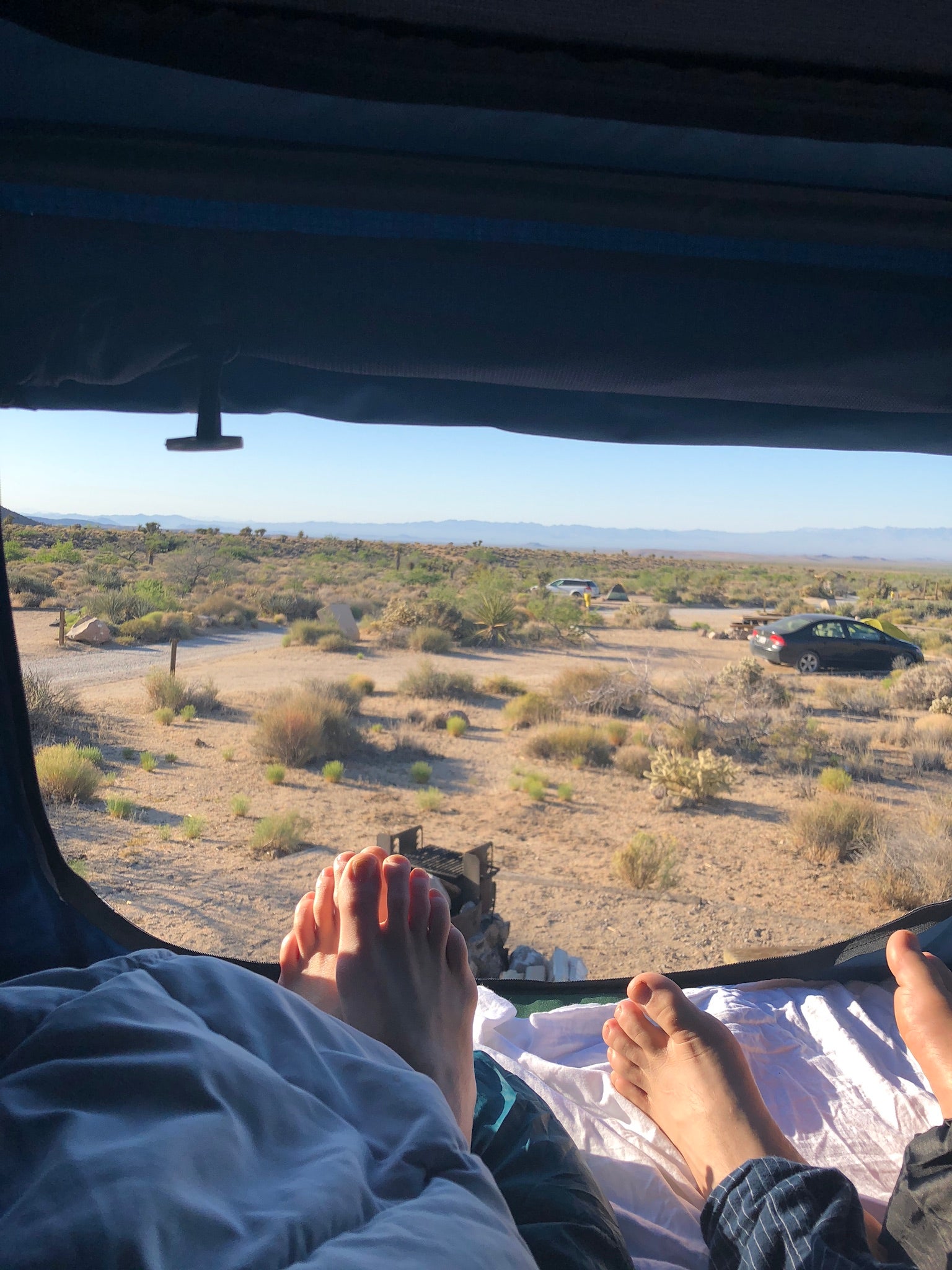 Camper submitted image from Hole in the Wall Campground — Mojave National Preserve - 5
