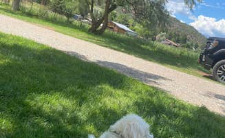 Rebeca H.'s photo of camping with pets at Alpen Rose RV Park near San Juan National Forest