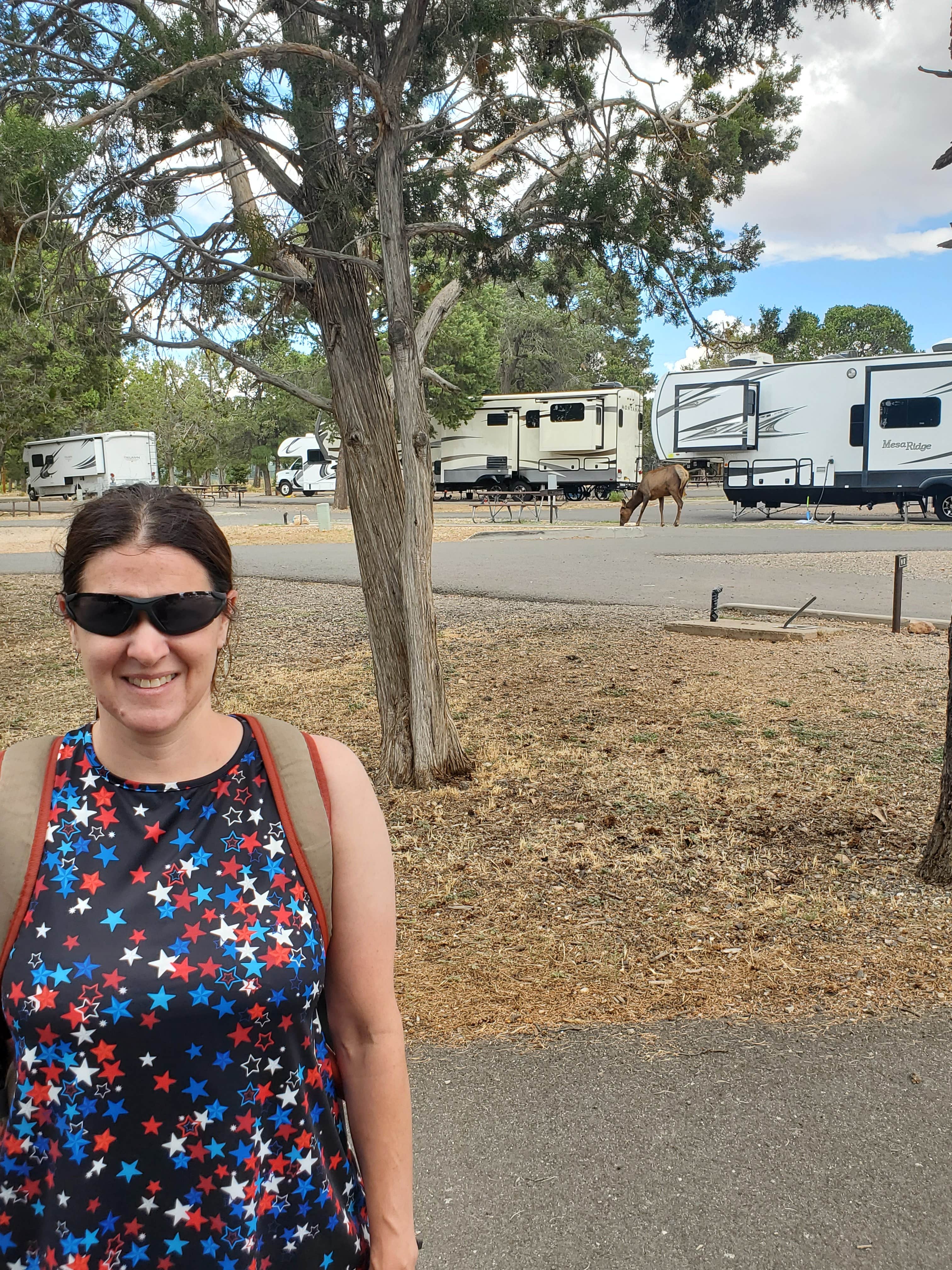 Brian B.'s photo of rv camping at Trailer Village RV Park — Grand Canyon National Park near Tuba City, AZ