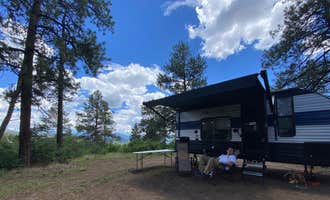 Camping near Forest Road 663: Buckles Lake Rd , Chromo, Colorado