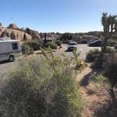Review photo of Jumbo Rocks Campground — Joshua Tree National Park by Marta T., July 17, 2018