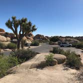 Review photo of Jumbo Rocks Campground — Joshua Tree National Park by Marta T., July 17, 2018