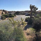 Review photo of Jumbo Rocks Campground — Joshua Tree National Park by Marta T., July 17, 2018