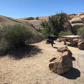 Review photo of Jumbo Rocks Campground — Joshua Tree National Park by Marta T., July 17, 2018