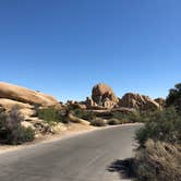 Review photo of Jumbo Rocks Campground — Joshua Tree National Park by Marta T., July 17, 2018