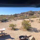 Review photo of Jumbo Rocks Campground — Joshua Tree National Park by Marta T., July 17, 2018