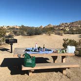 Review photo of Jumbo Rocks Campground — Joshua Tree National Park by Marta T., July 17, 2018
