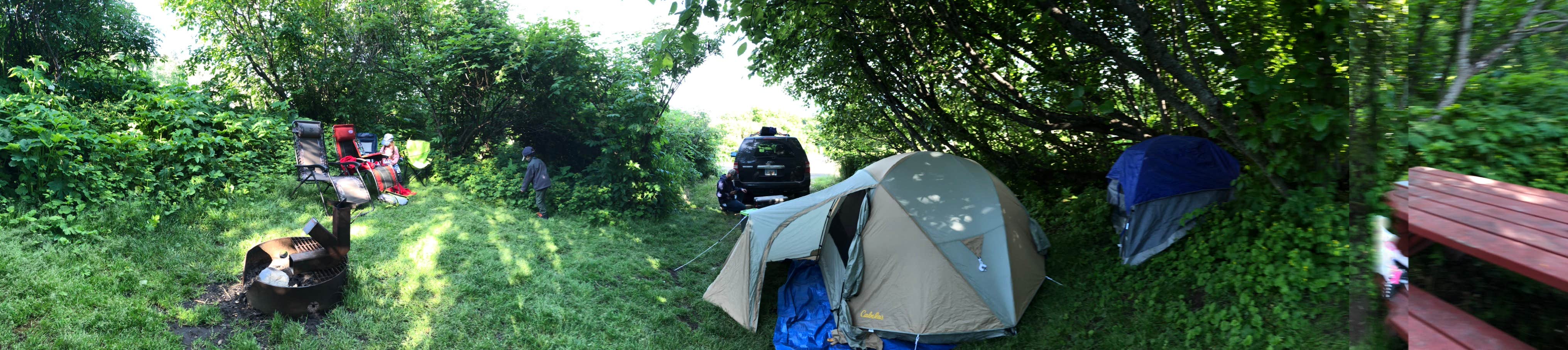 Samantha M.'s photo at Karen Hornaday Park Campground - CLOSED UNTIL FURTHER NOTICE near Seldovia, AK