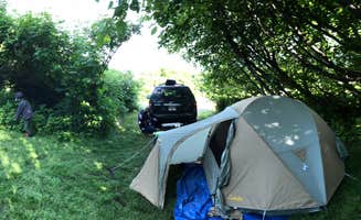 Samantha M.'s photo at Karen Hornaday Park Campground - CLOSED UNTIL FURTHER NOTICE near Halibut Cove, AK