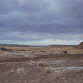 Review photo of Petrified Forest National Wilderness Area — Petrified Forest National Park by Mara F., July 17, 2018