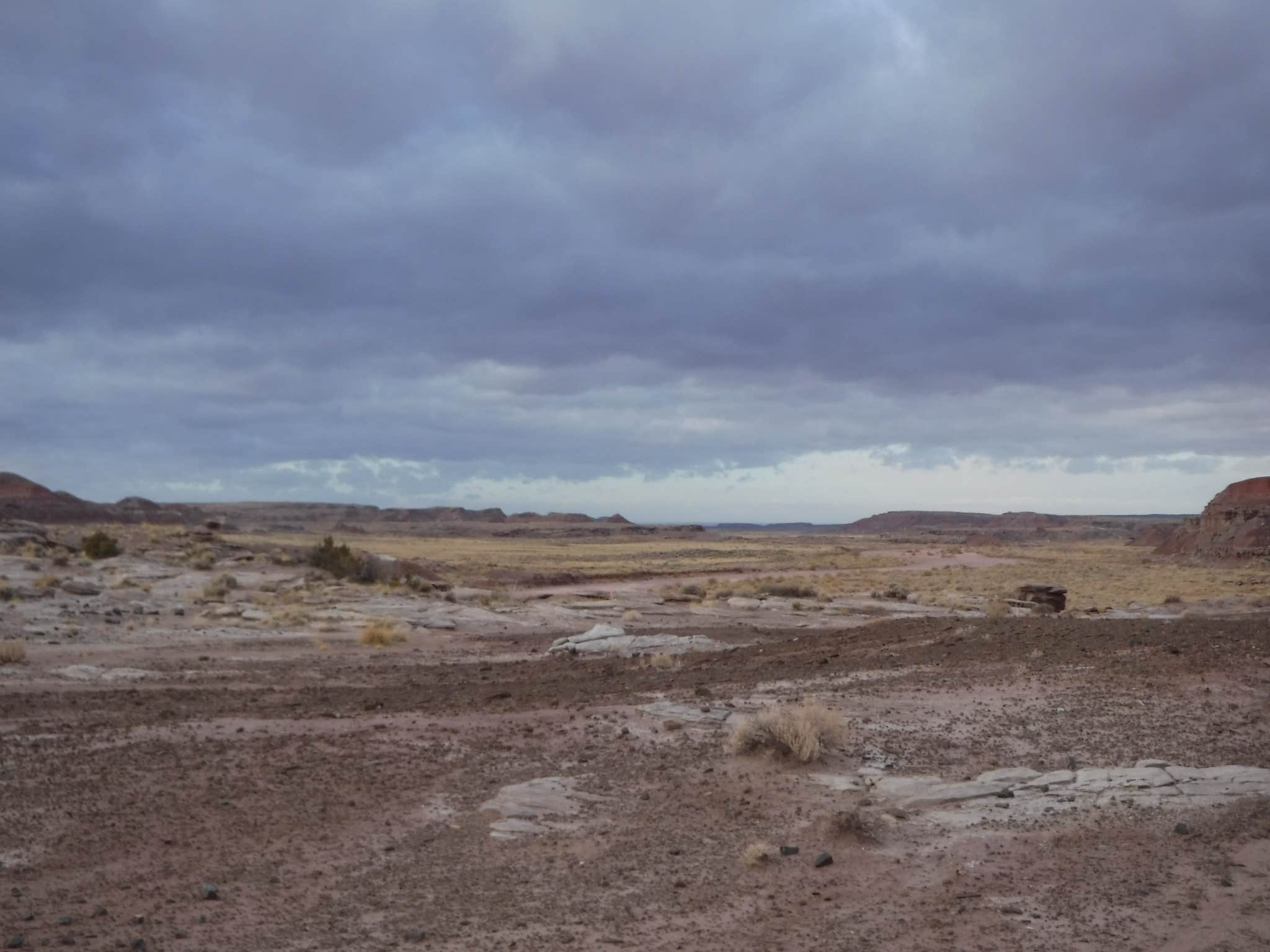 Camper submitted image from Petrified Forest National Wilderness Area — Petrified Forest National Park - 2