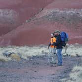 Review photo of Petrified Forest National Wilderness Area — Petrified Forest National Park by Mara F., July 17, 2018