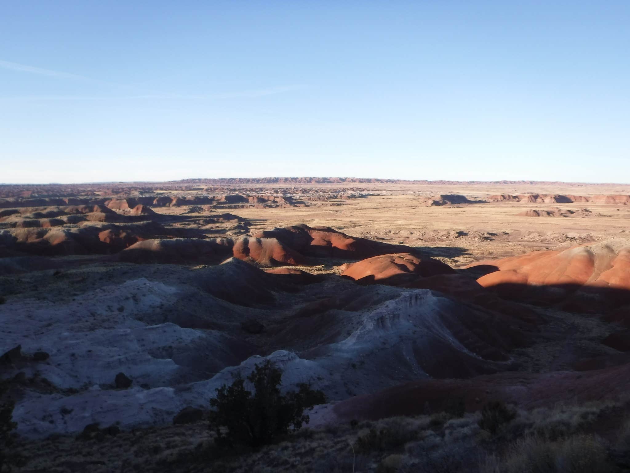 Camper-submitted photo at Petrified Forest National Wilderness Area — Petrified Forest National Park near Chambers, AZ