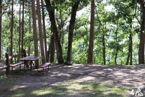 The Dyrt's photo at Holiday Shores near Friendship, WI