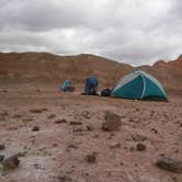 Review photo of Petrified Forest National Wilderness Area — Petrified Forest National Park by Mara F., July 17, 2018