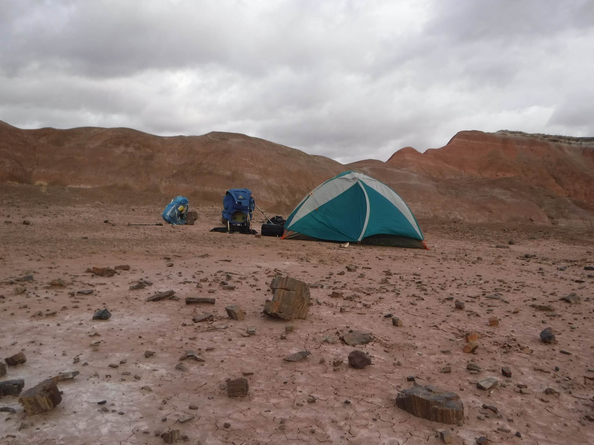 Camper submitted image from Petrified Forest National Wilderness Area — Petrified Forest National Park - 3
