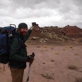 Review photo of Petrified Forest National Wilderness Area — Petrified Forest National Park by Mara F., July 17, 2018