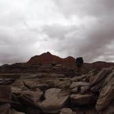 Review photo of Petrified Forest National Wilderness Area — Petrified Forest National Park by Mara F., July 17, 2018