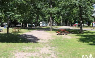 The Dyrt's photo at Holiday Shores near Friendship, WI