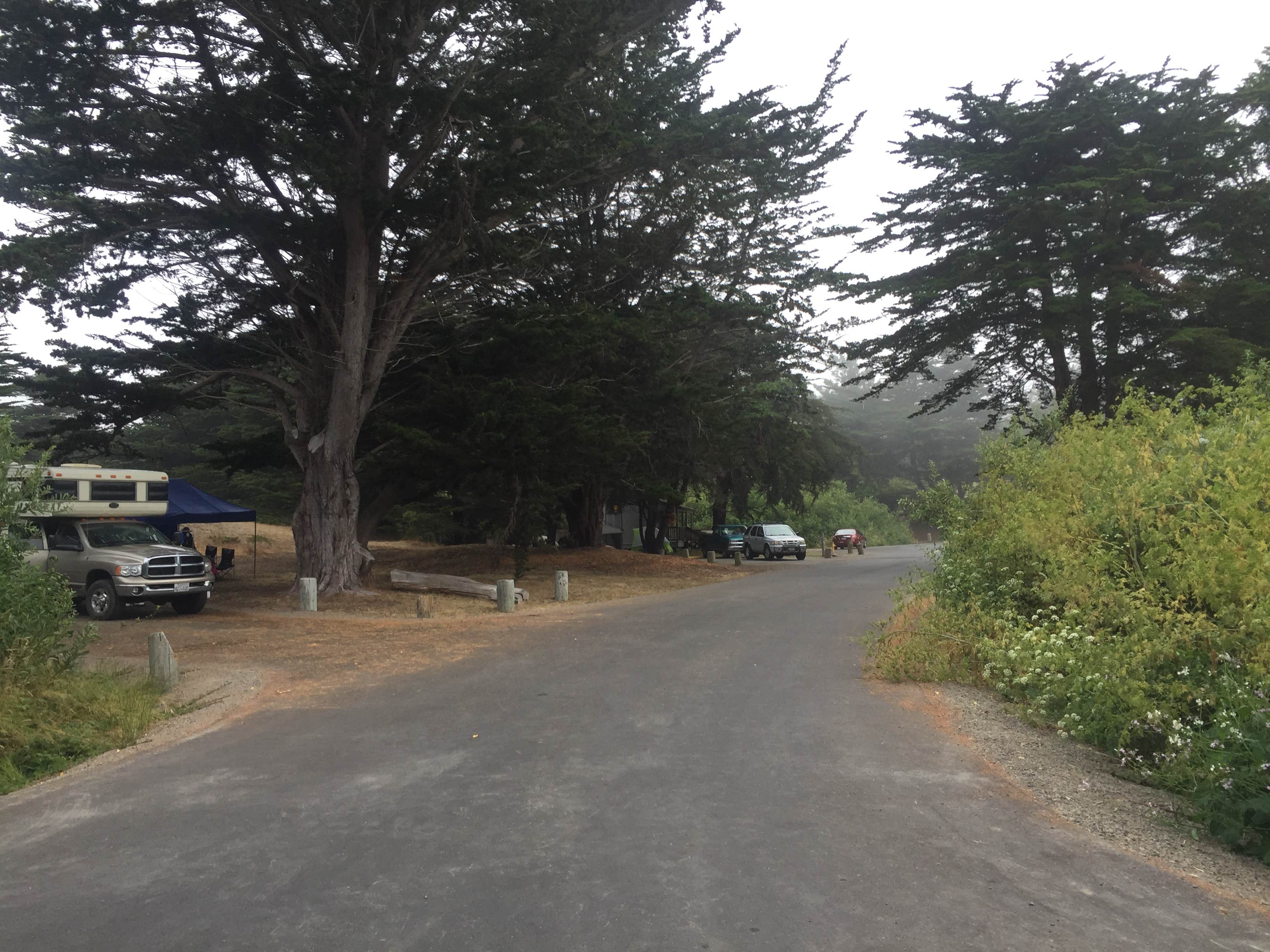 Camper submitted image from Bodega Dunes Campground — Sonoma Coast State Park - 2