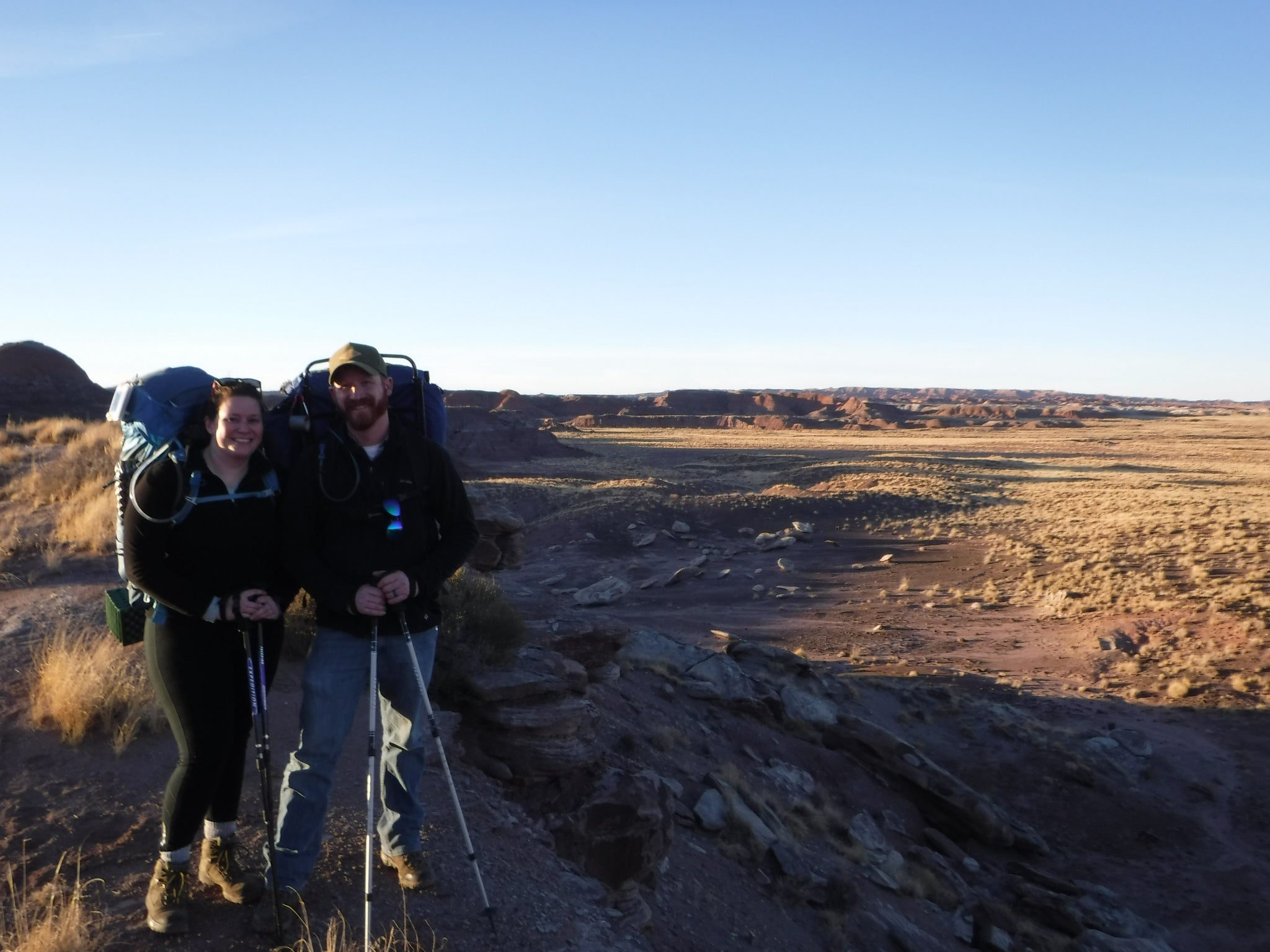Camper submitted image from Petrified Forest National Wilderness Area — Petrified Forest National Park - 5