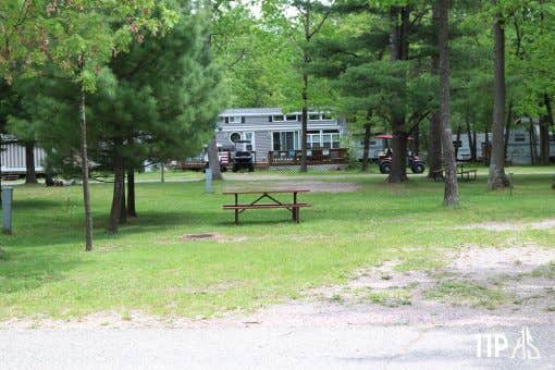 The Dyrt's photo at Holiday Shores near Briggsville, WI