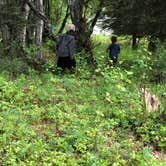 Review photo of Morgans Landing State Rec Area by Samantha M., July 17, 2018