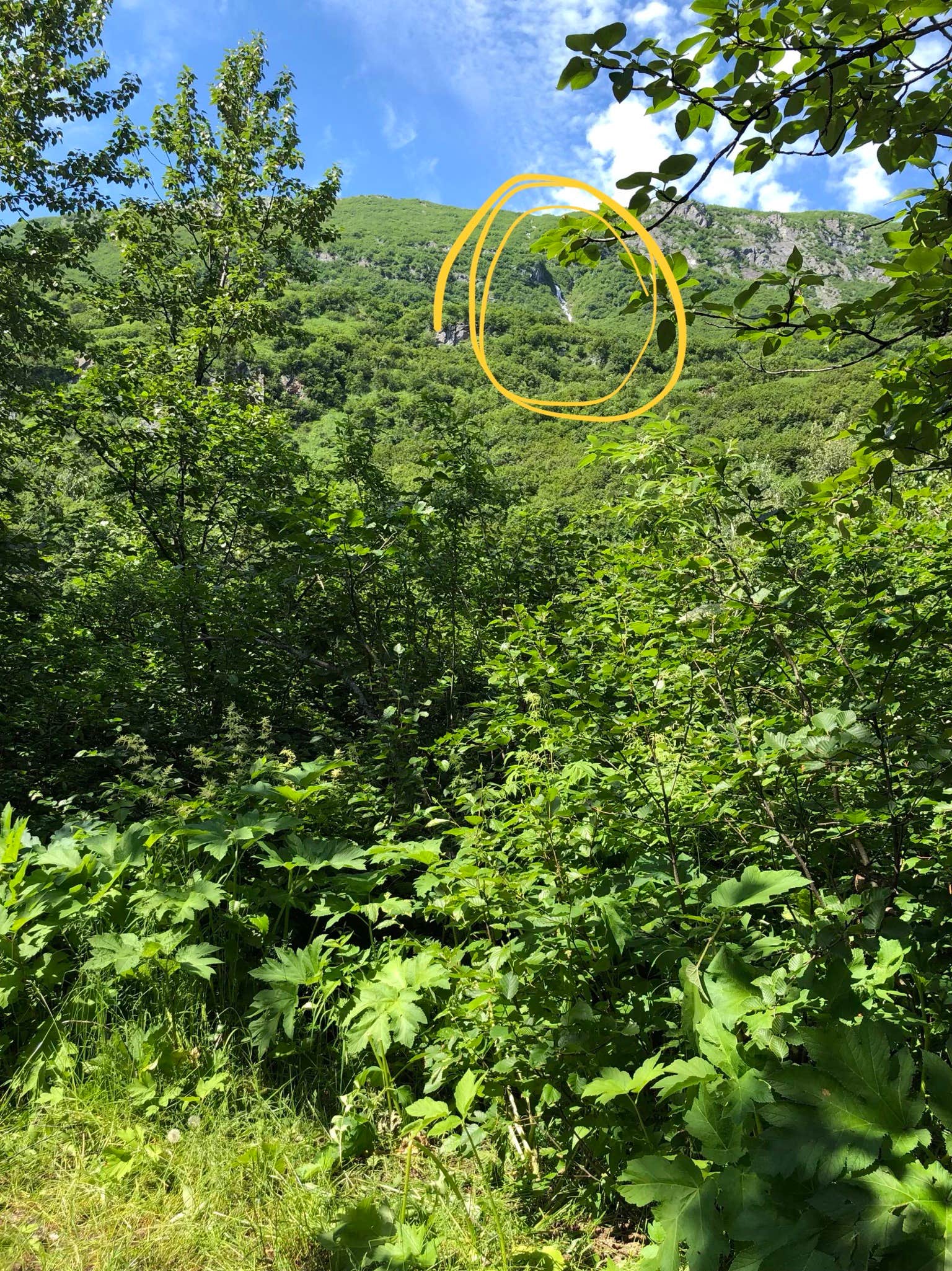 Camper-submitted photo at Glacier View Campground near McCarthy, AK