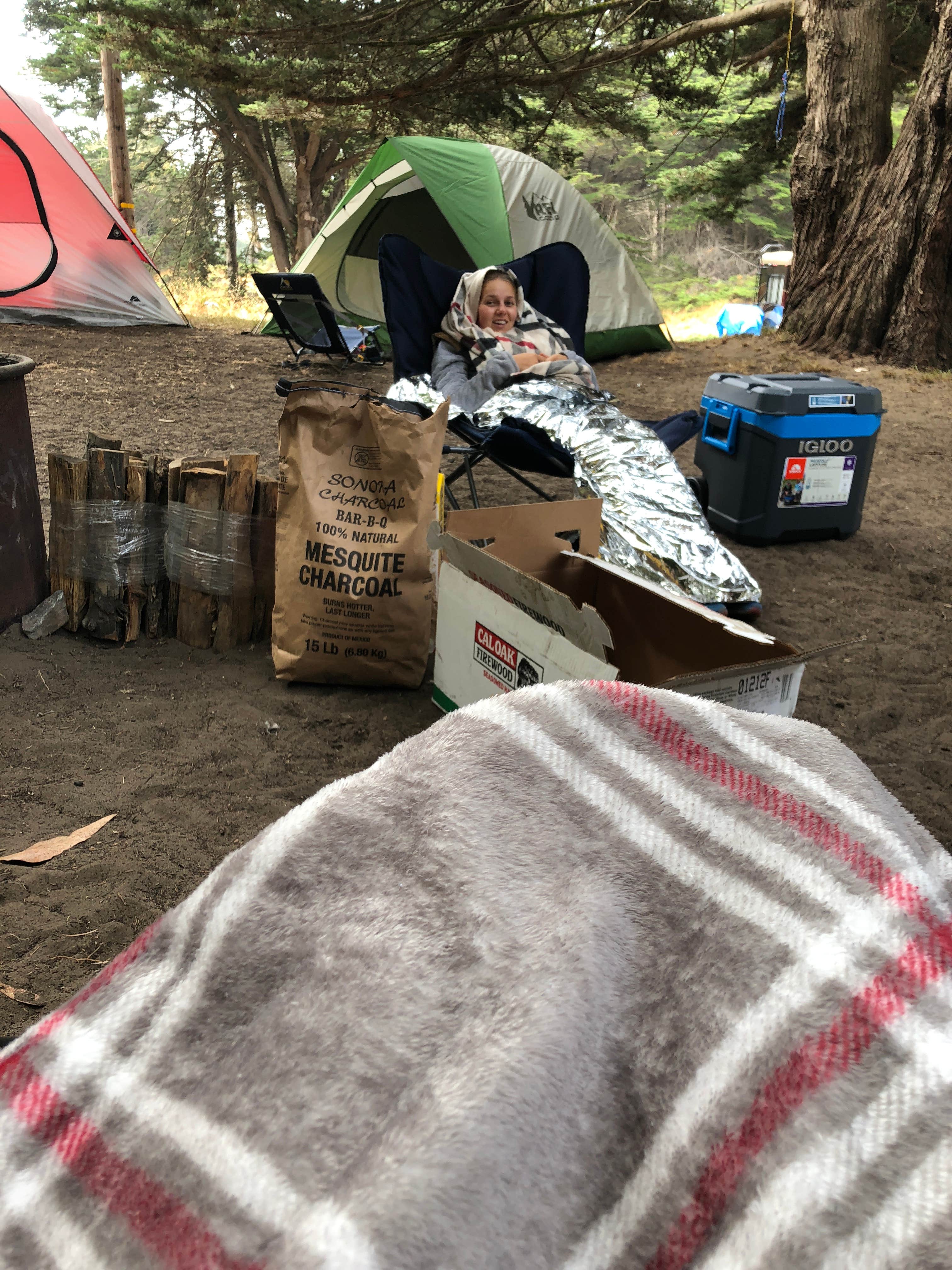 Camper submitted image from Bodega Dunes Campground — Sonoma Coast State Park - 5