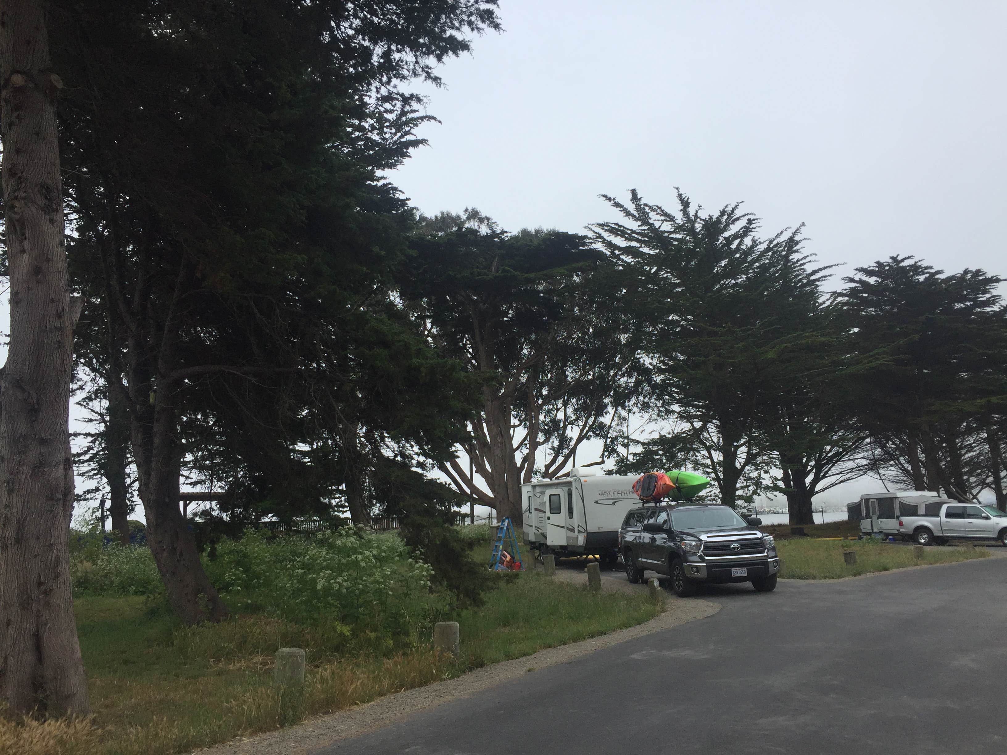 Camper submitted image from Bodega Dunes Campground — Sonoma Coast State Park - 2
