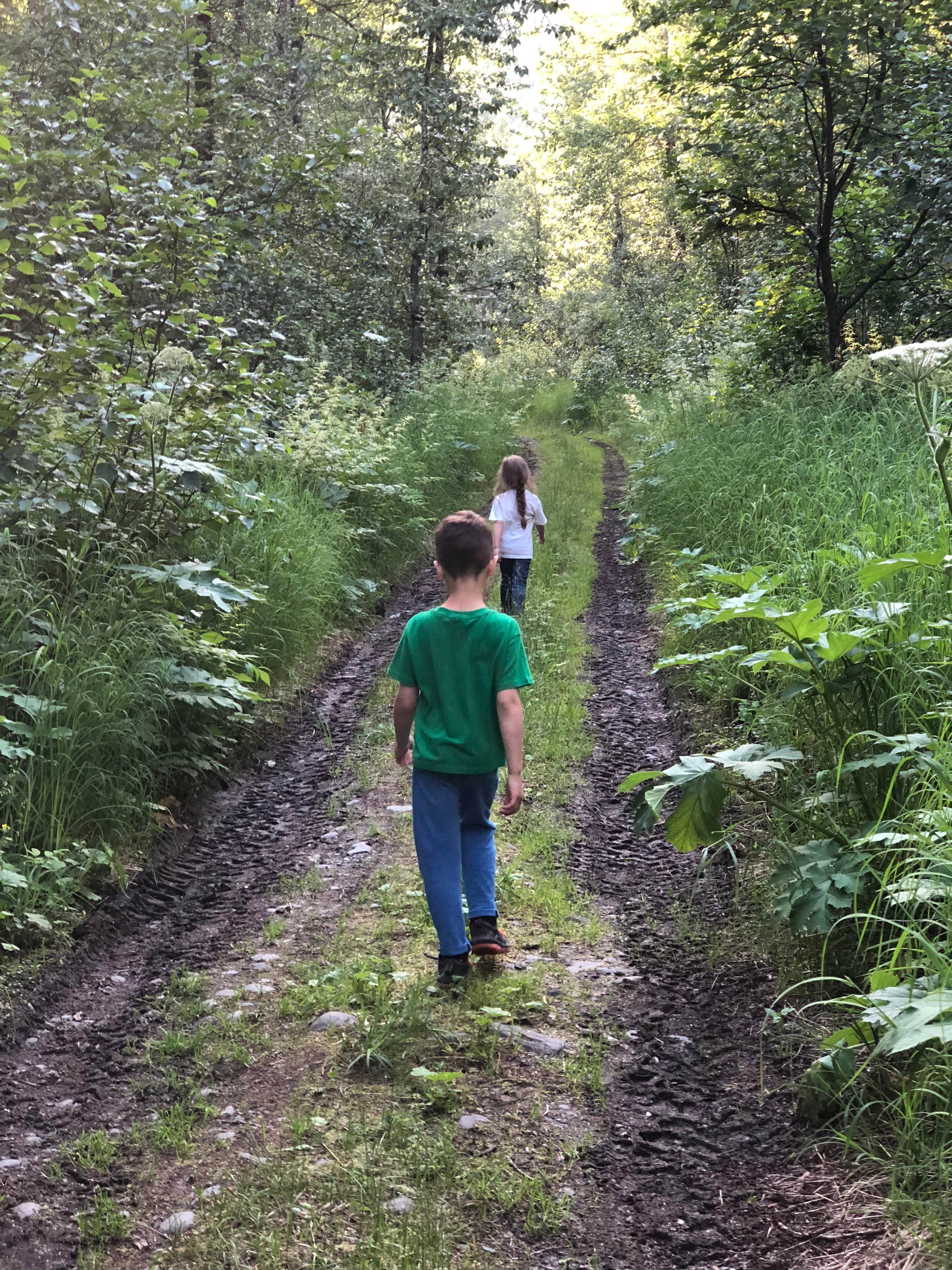 Camper-submitted photo at Glacier View Campground near McCarthy, AK