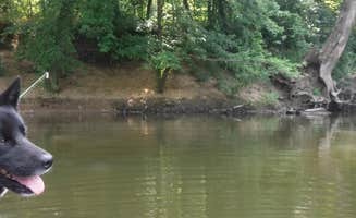 Mara F.'s photo of camping with pets at Sam A. Baker State Park Campground near Poplar Bluff, MO