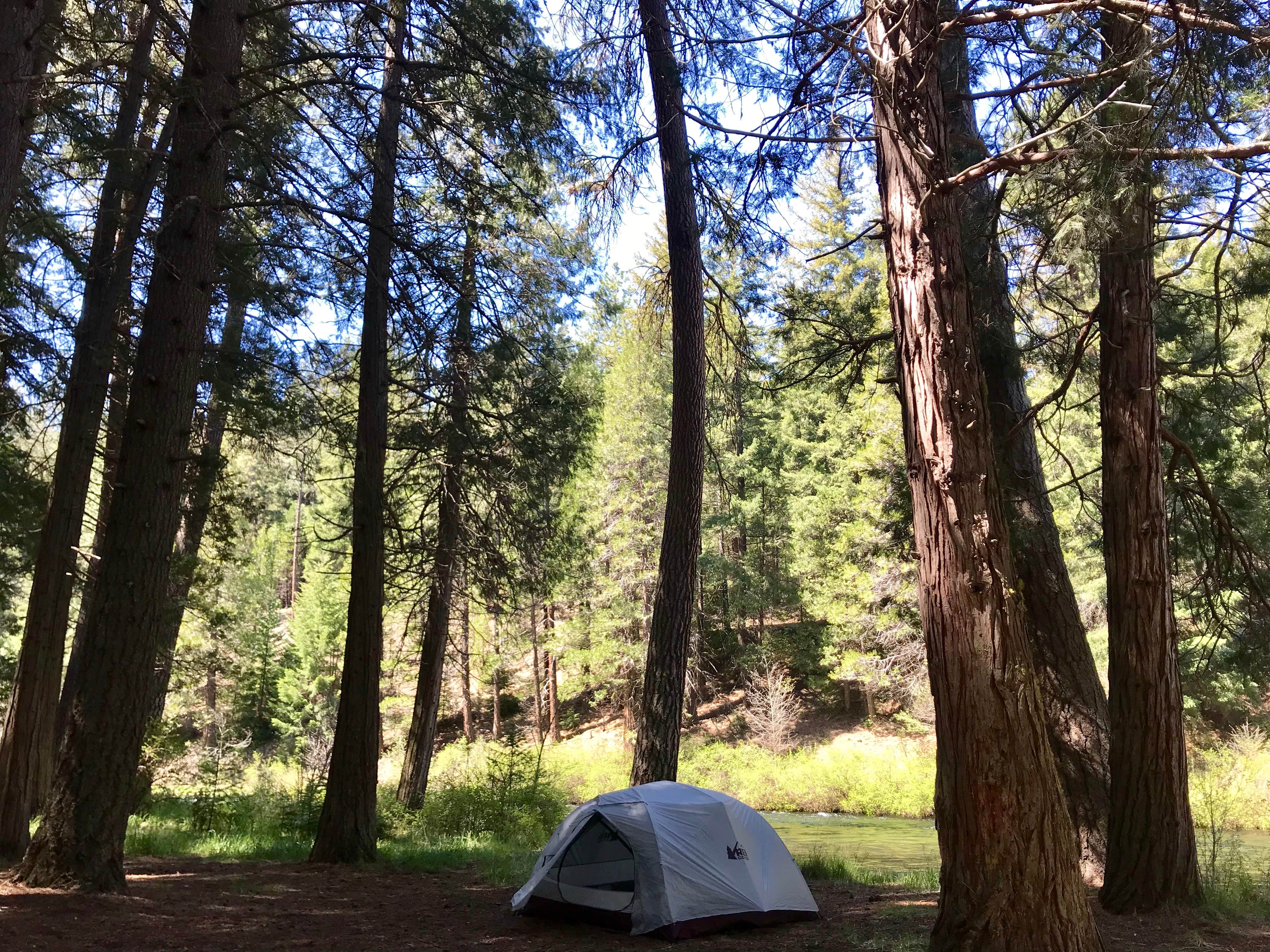 Niki S.'s photo at Lower Bridge Campground near Alder Springs, OR