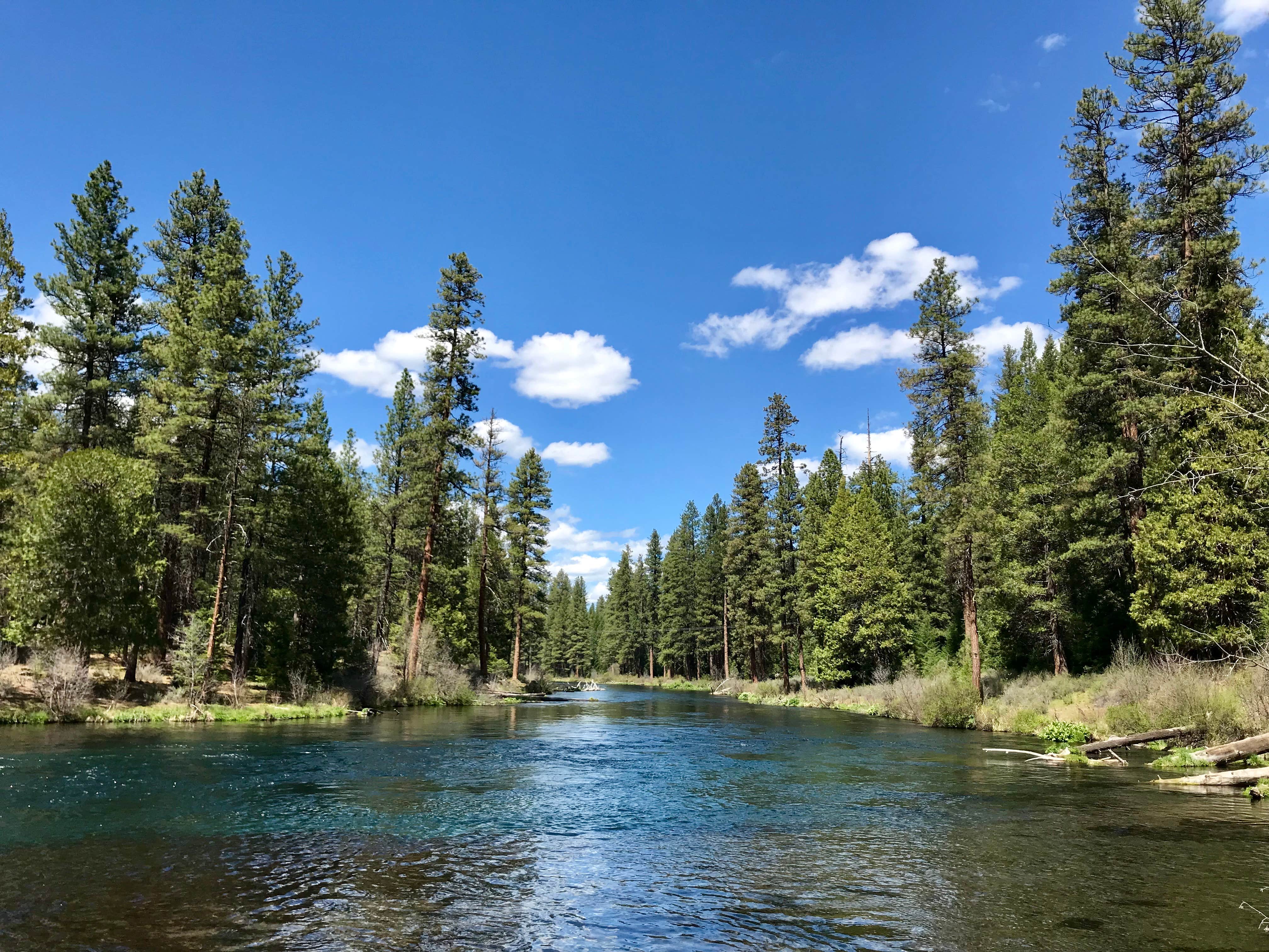 Metolius River