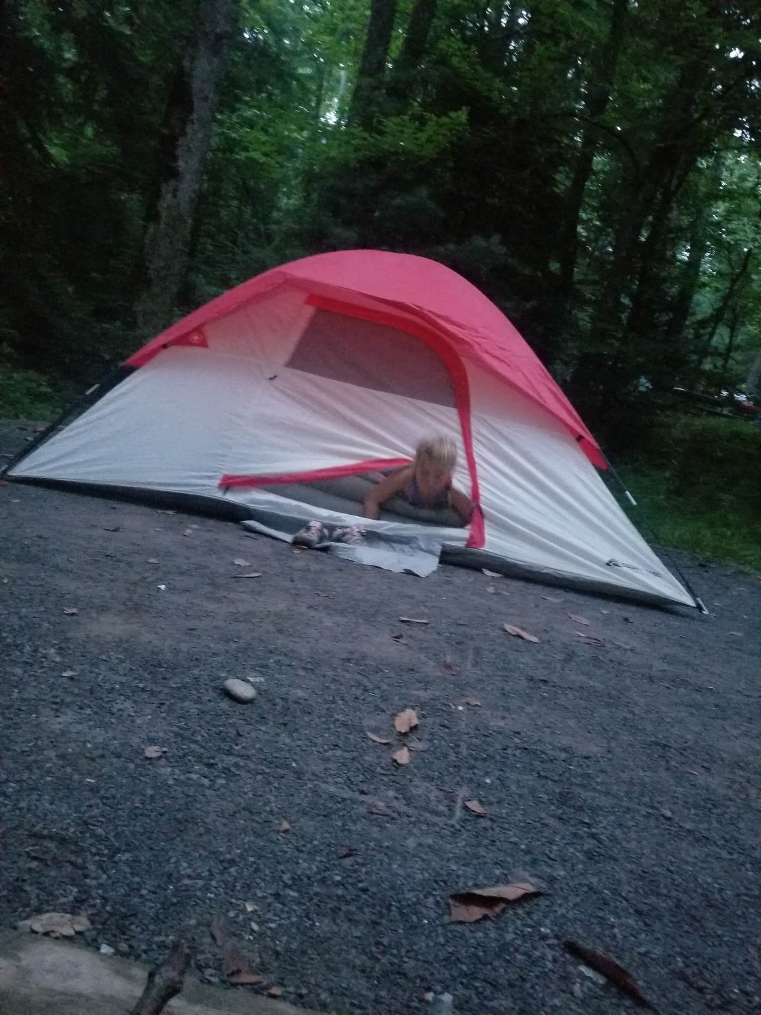 Danielle G.'s photo at Elkmont Campground — Great Smoky Mountains National Park near Great Smoky Mountains National Park