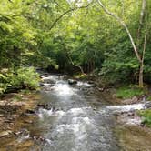 Review photo of Elkmont Campground — Great Smoky Mountains National Park by Danielle G., July 17, 2018
