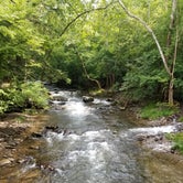 Review photo of Elkmont Campground by Danielle G., July 17, 2018