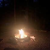 Review photo of Blackwoods Campground — Acadia National Park by Sable W., July 17, 2018