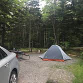 Review photo of Blackwoods Campground — Acadia National Park by Sable W., July 17, 2018