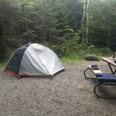 Review photo of Blackwoods Campground — Acadia National Park by Sable W., July 17, 2018