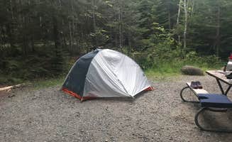 Sable W.'s photo at Blackwoods Campground — Acadia National Park near Acadia National Park