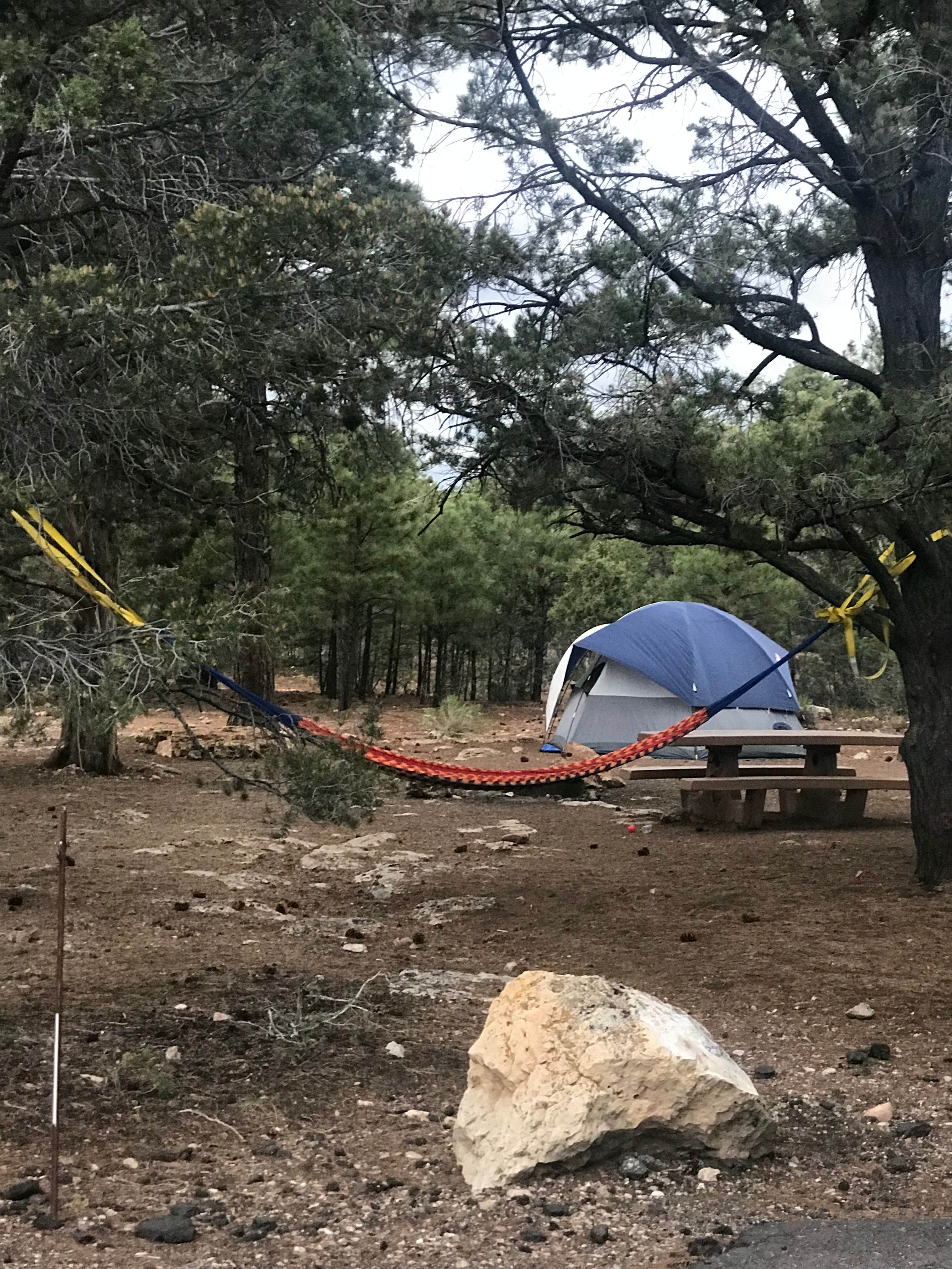 Courtney S.'s photo at Mather Campground — Grand Canyon National Park near Grand Canyon, AZ