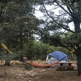 Review photo of Mather Campground — Grand Canyon National Park by Courtney S., July 17, 2018