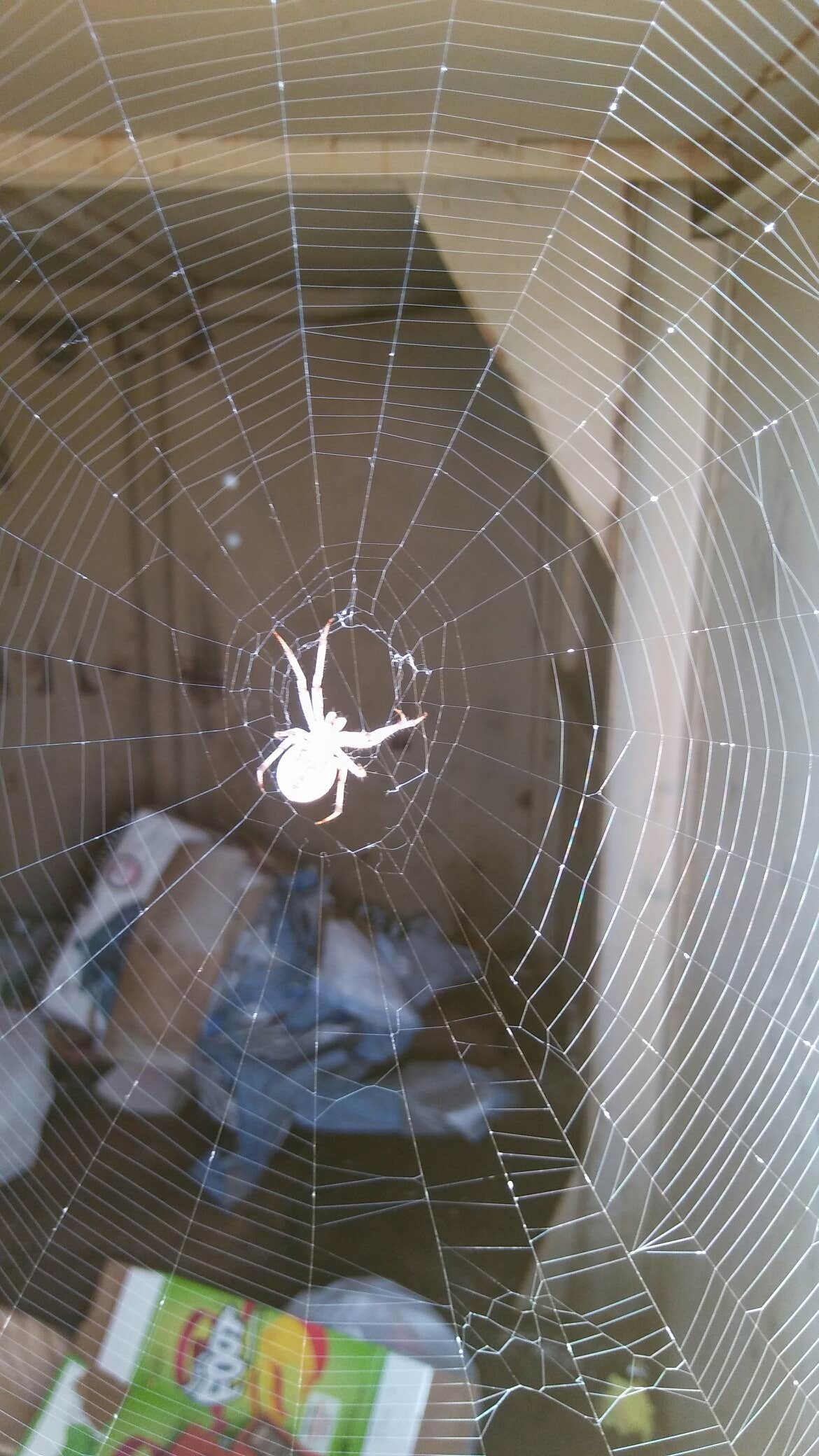 Camper-submitted photo at Sportsmans Beach Walker Lake Recreation Area near Yerington, NV