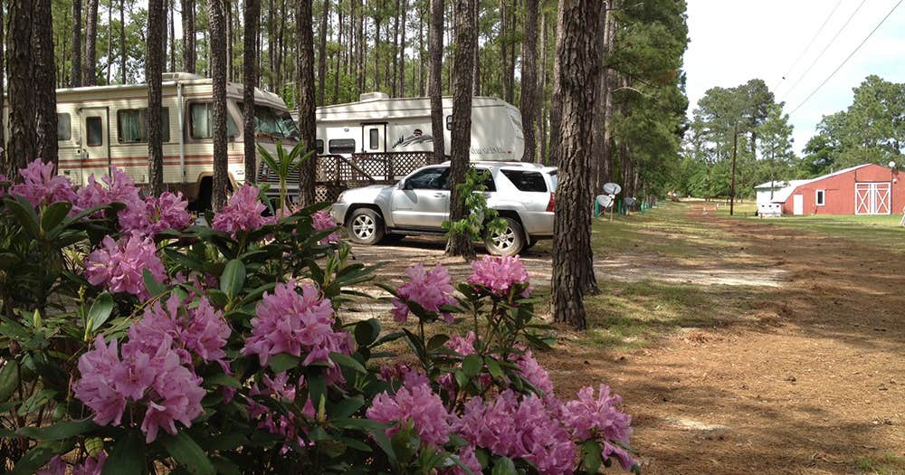 PINE LAKE RV RESORT | Wagram, North Carolina