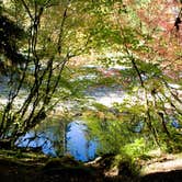 Review photo of Sol Duc Hot Springs Resort Campground — Olympic National Park by Tarah S., July 27, 2016