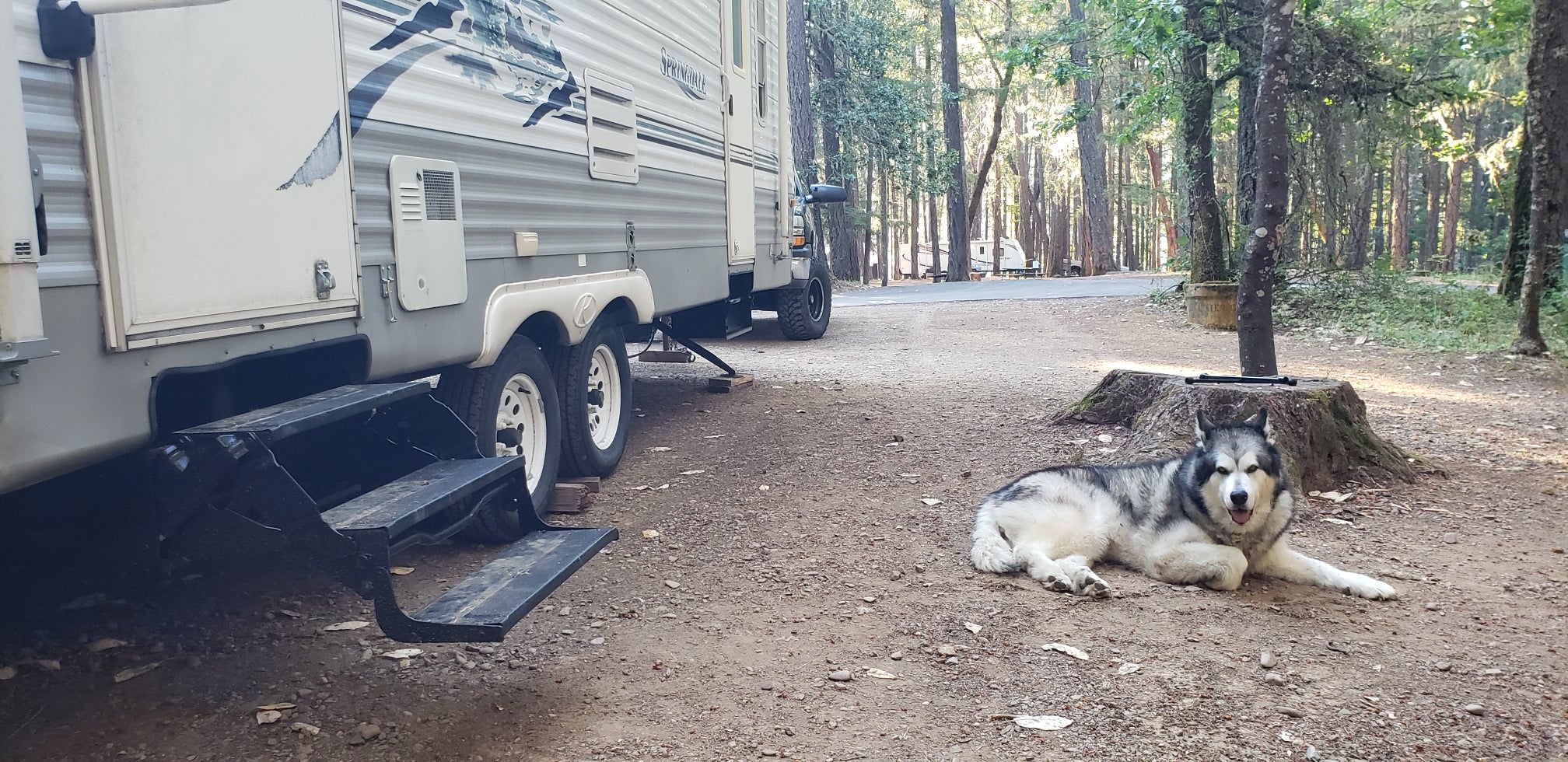 Camper submitted image from Lake Selmac County Park - 4