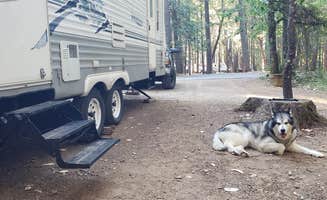 Kayleigh W.'s photo of rv camping at Lake Selmac County Park near Selma, OR