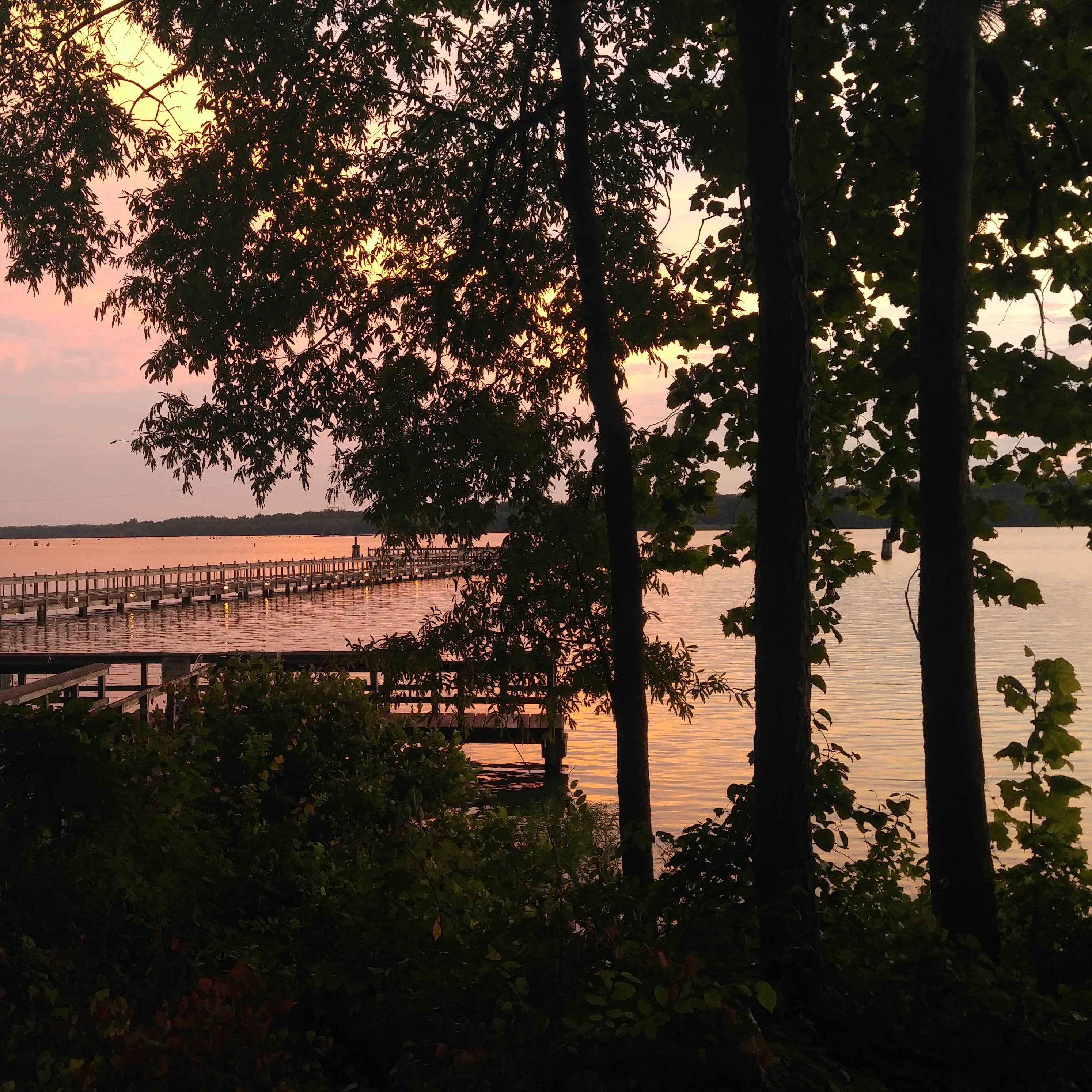 Whitten Park Campground Camping The Dyrt