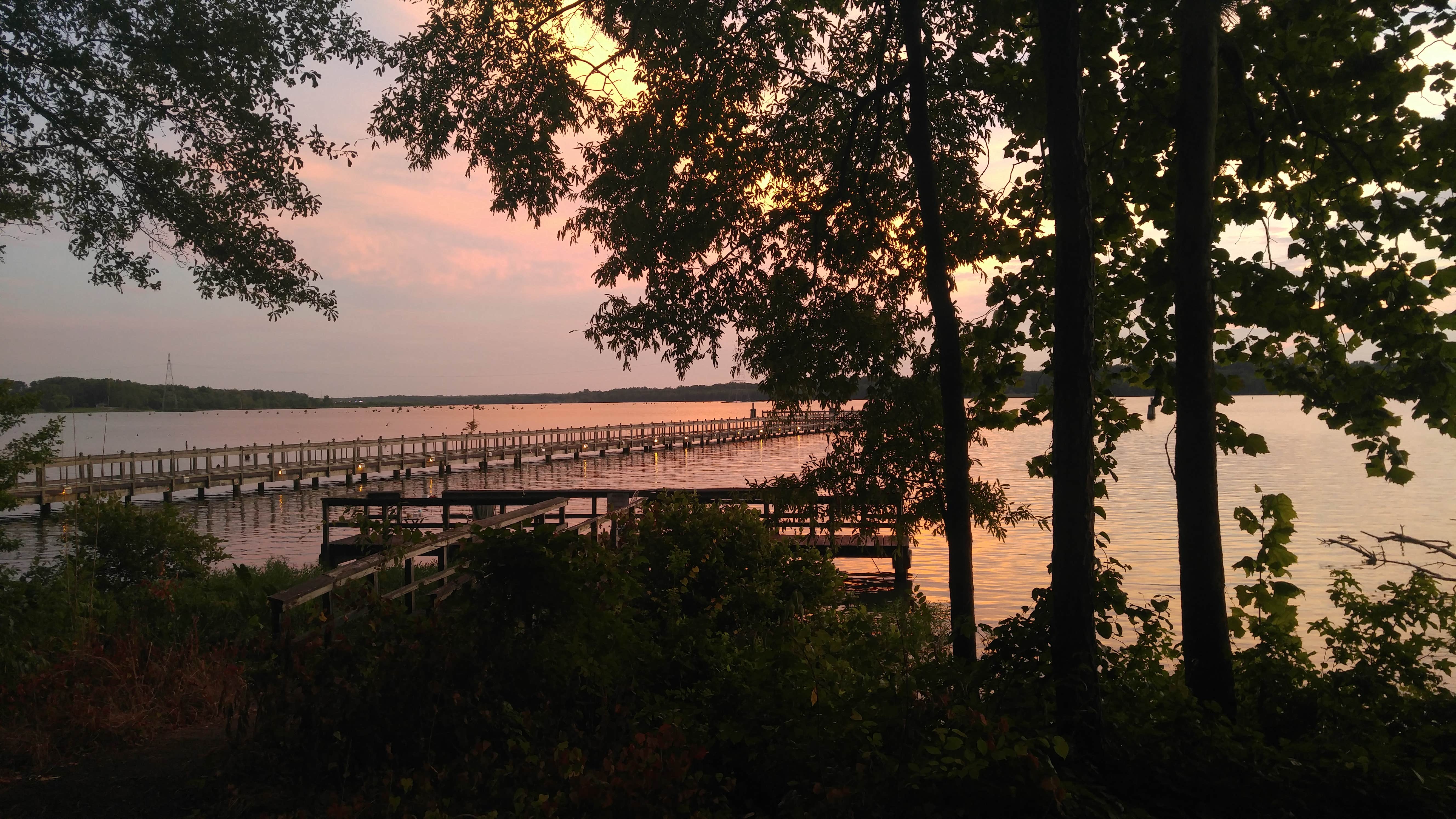 Camper submitted image from Whitten Park Campground - 5